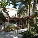 Coconut Grove Library