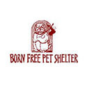 Key Biscayne Animal Shelter