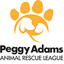 Atlantis Animal Shelter